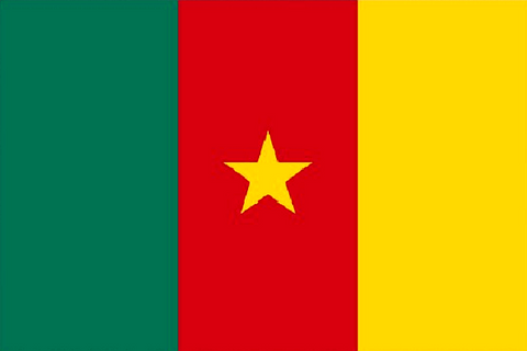 Drapeau du Cameroun, Supporters Camerounais, Lions indomptable, Fans, Football, Cameroun