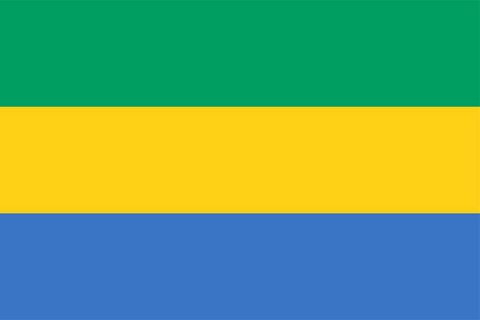 Gabon, Drapeau national, Supporters, Fans, Football, Pays Afrique, Caf, Can,