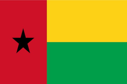 Drapeau national Ginée-Bissau, Supporters, Fans, Football, Cameroun