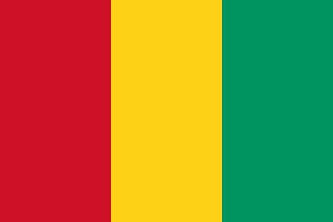 Drapeau Guinée, Syli National, Supporter Guineen, Football Africain. africa. can, Afrique, football, djankawax, Africa Football, Diaspora Africaine, drapeau, 