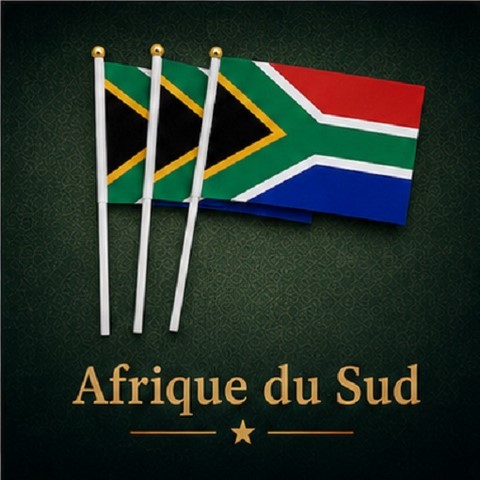 Drapeaux mains Afrique du Sud, Supporters, Fans, Football, 