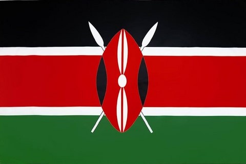 Drapeau national Kenya, Supporters, Fans, Football, Cameroun