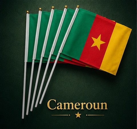 Drapeau main Cameroun, Supporters sénégalais, les Lions de la Terranga, Fans, Football, Cameroun