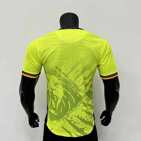 Football Maillot Cameroun 2025/2026, blanc, Lions indomptables, Can, Africa, Soccer,
