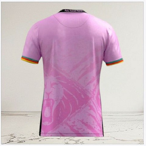 Football Maillot Cameroun 2025/2026, blanc, Lions indomptables, Can, Africa, Soccer,