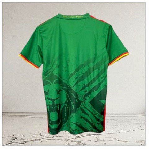 Football Maillot Cameroun 2025/2026, Lions indomptables, Can, Africa, Soccer,