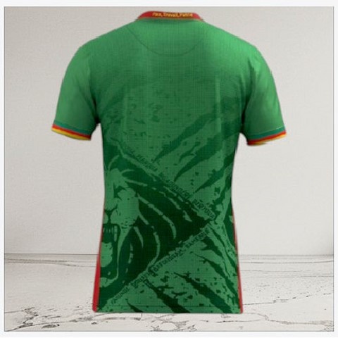  Cameroon green Football Jersey, Maillot Cameroun, personalisable, rouge, blanc, vert, Football, Lions indomptables Fourteen, Official,