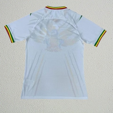 Maillot de Football Mali, équipe nationale, drapeau, 