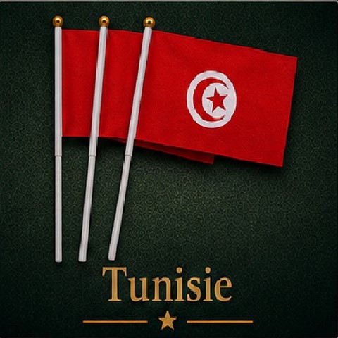 Drapeau mains Tunisie,