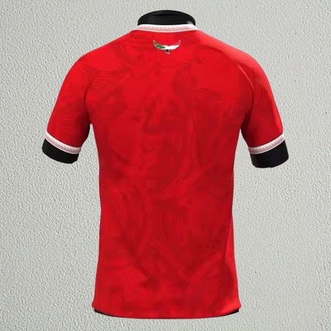 Maillot de Football SoudanMaillot de Football Soudan Impression 3D, Can, Caf, Afrique, Soccer, Africa,
