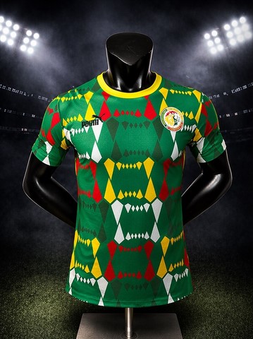 Maillot de Football Sénégal, vert, édition spéciale, équipe nationale, drapeau, Can 2025 