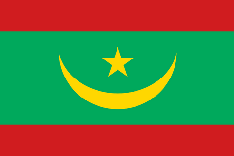 Drapeau national ​Mauritanie, Supporters, Fans, Football, Cameroun
