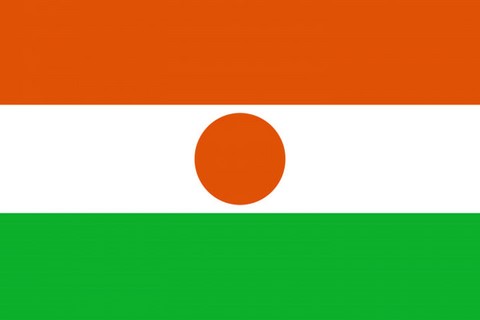 Drapeau national Niger, Supporters, Fans, Football, Cameroun