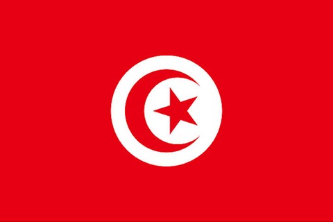 Drapeau national Tunisie, Supporters, Fans, Football, Cameroun