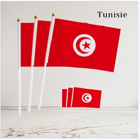 Drapeau main Congo RDC, Les Leopards, Supporter RDC, Football Africain, Fans, Football, République Démocratique du Congo,