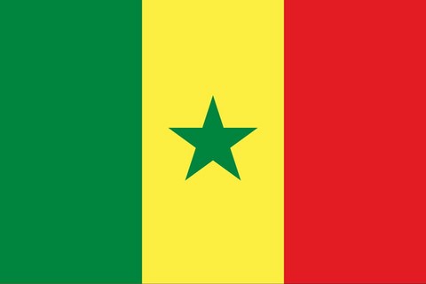 Sénégal, Drapeau national, Supporters, Fans, Football, Pays Afrique, Caf, Can,