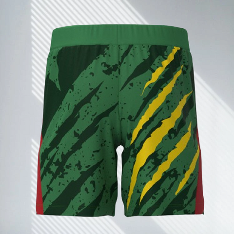  Short Cameroun, Jersey vert, Football, Cameroun, Lions indomptables, Fourteen,