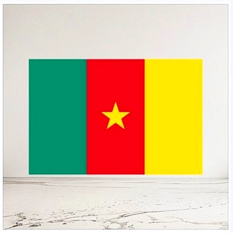 Drapeau du Cameroun, Supporters Camerounais, Lions indomptable, Fans, Football, Cameroun