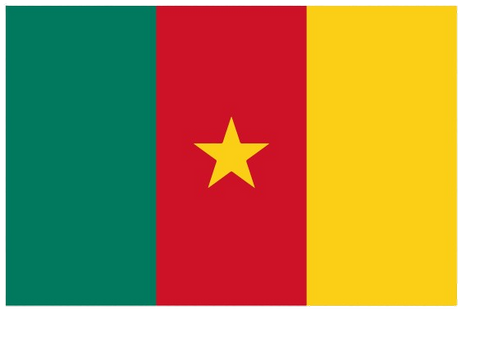 Drapeau national Cameroun, Supporters Camerounais, Lions indomptable, Fans, Football, Cameroun