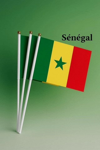 Drapeau main Sénégal, Supporters, Fans, Football, Cameroun
