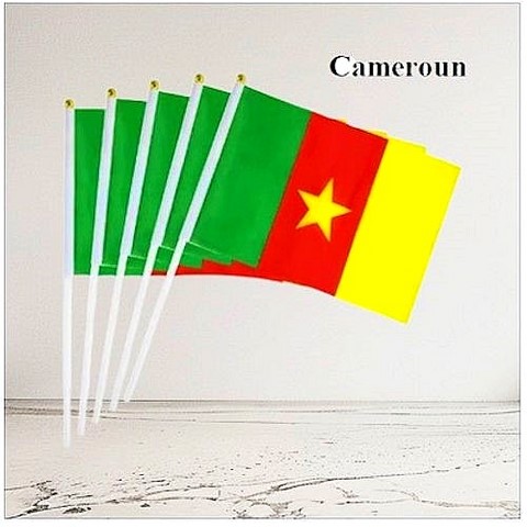 Drapeau main Cameroun, Supporters sénégalais, les Lions de la Terranga, Fans, Football, Cameroun