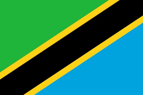 Drapeau national Tanzanie, Supporters, Fans, Football, Cameroun