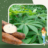 Vente en gros manioc frais et transformé, feuille, baton, farine et semoule de manioc, La ferme de Léo,