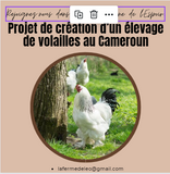 don Helloasso-la ferme de Léo,poulailler,