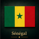 Sénégal, Drapeau national, Supporters, Fans, Football, Pays Afrique, Caf, Can,