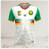  Cameroon white Football Jersey, Maillot Cameroun, personalisable, blanc, vert, rouge, Football, Lions indomptables Fourteen, Official,
