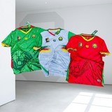 Maillot de Football Cameroun, 2025/2026, Jersey,Maillot Cameroun, personalisable, blanc, vert, rouge, Football, Lions indomptables Fourteen, ,