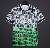 Maillots de Football Nigeria NG, vert, Super Eagles, Supporter Nigérian, Football Africain. africa. can, Afrique, football, djankawax, Africa Football, Diaspora Africaine, drapeau,