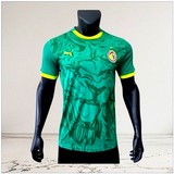 Maillot de Football Sénégal, 2025  vert, équipe nationale, Les Lions de la Téranga, Can 2025/26, Can, Caf Afrique, soccer Africa,