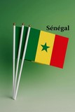 Drapeau main Sénégal, Supporters, Fans, Football, Cameroun
